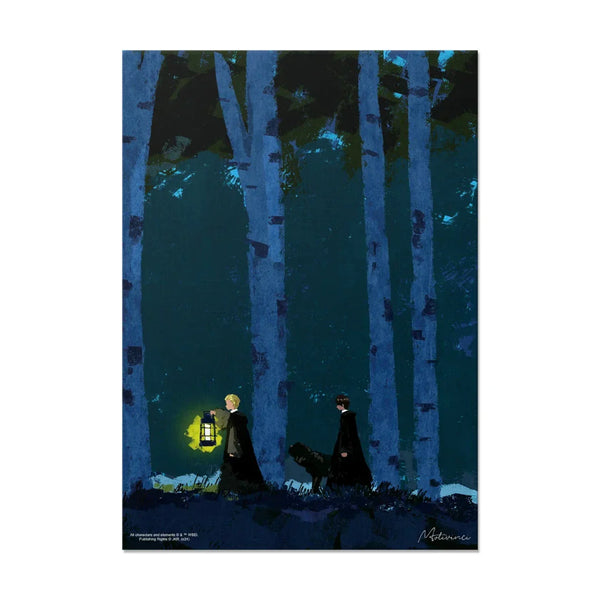 Harry Potter Canvas - Nighttime Walk