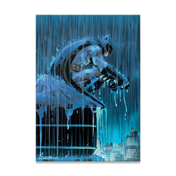 Batman Guardian of the Rain