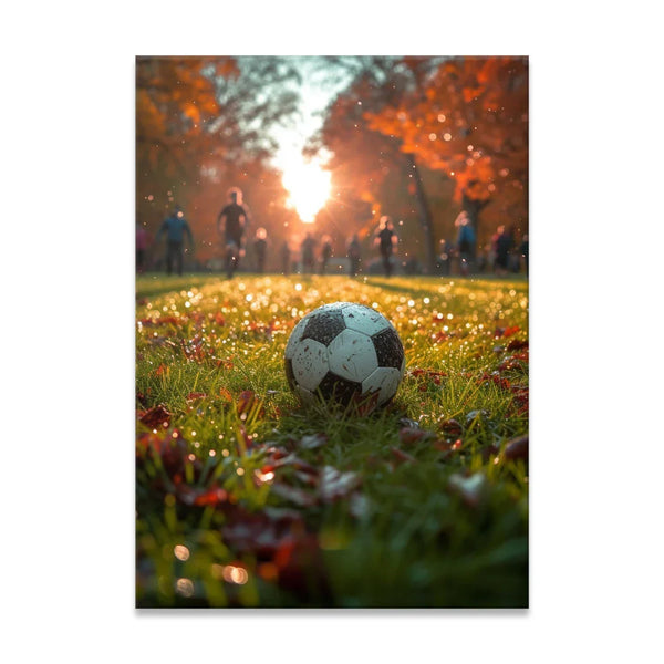 Sunlit Soccer Scene