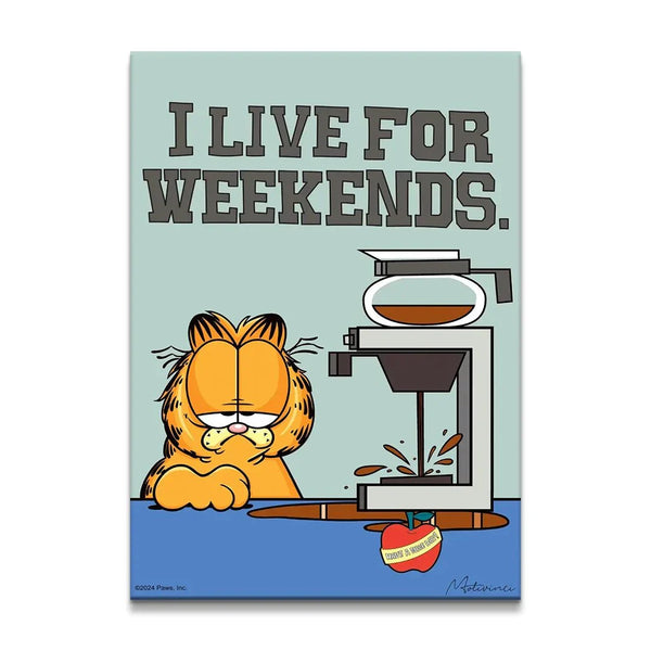 Garfield - Weekend - Motivinci